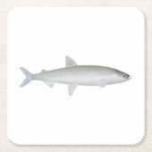 Rainbow Smelt Rechteckiger Pappuntersetzer (Vorderseite)