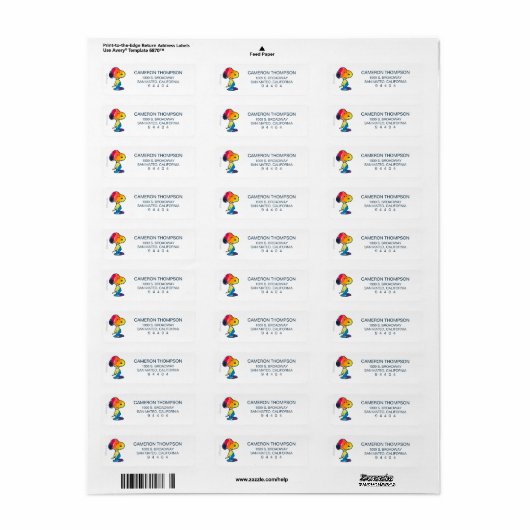 Rainbow Snoopy (Vorne)