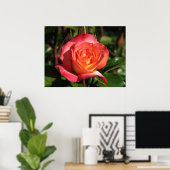Rainbow Sorbet Floribunda Rose 139 Poster (Heimbüro)