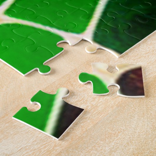 Rainbow Spider Web Puzzle (Seite)