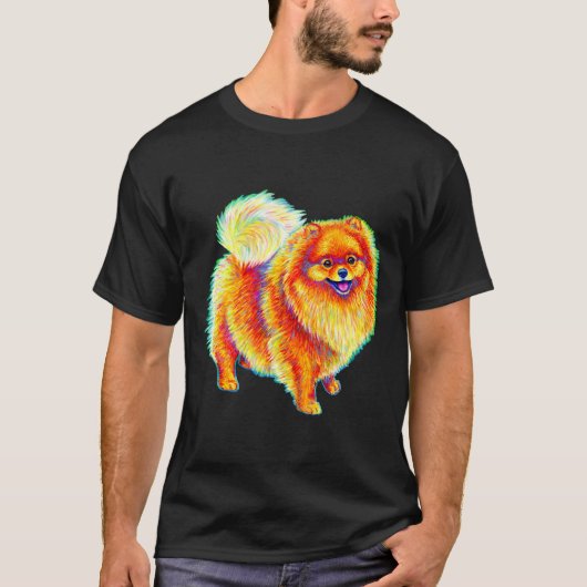Rainbow Spitz T-Shirt (Vorderseite)