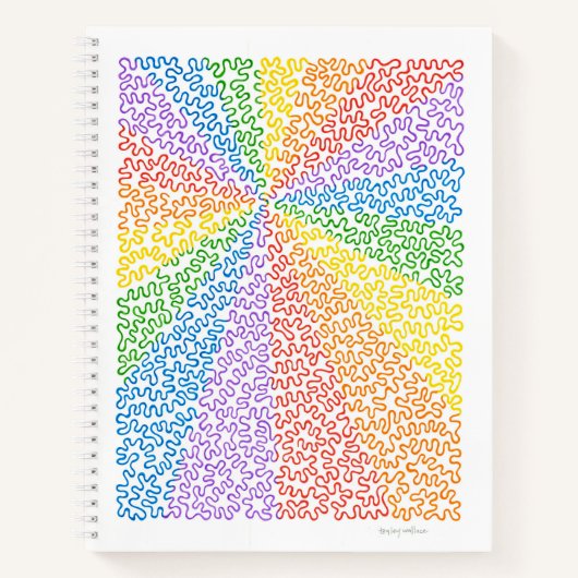 Rainbow Squiggles-Notebook Notizblock (Vorderseite)