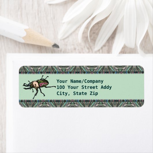 Rainbow Stag Beetle (Insitu)