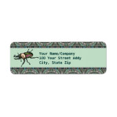 Rainbow Stag Beetle (Vorne)