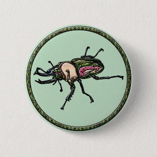 Rainbow Stag Beetle Button