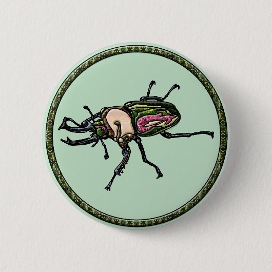 Rainbow Stag Beetle Button (Vorderseite)