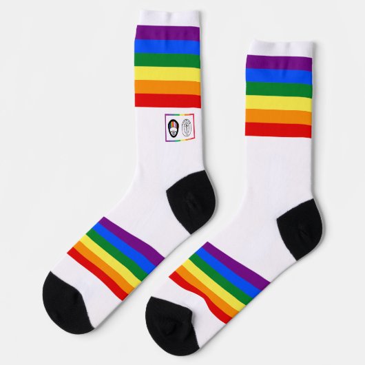 Rainbow Stripe AOSA AWSF Crew Socken (Linkes Detail)