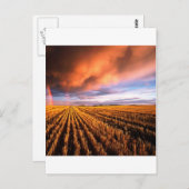 Rainbow Stubble Field Saskatchewan Kanada Postkarte (Vorne/Hinten)