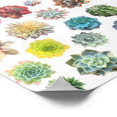 Rainbow Succuled Print Poster (Ecke)