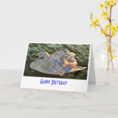 Rainbow Swan Karte (Gelbe Blume)