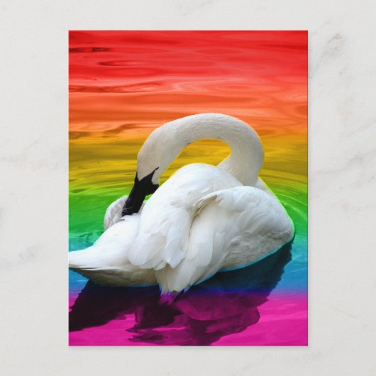 Rainbow Swan Postkarte (Vorderseite)