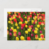 Rainbow Tapestry Postkarte (Vorne/Hinten)