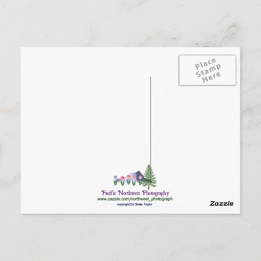 Rainbow Tapestry Postkarte (Rückseite)