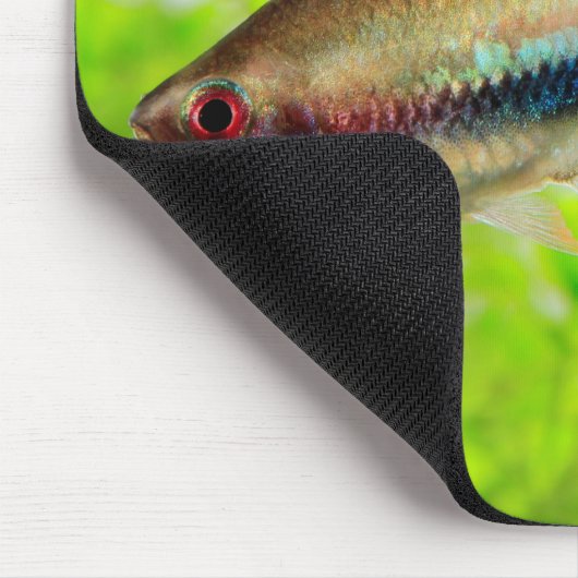 Rainbow Tetra Mousepad (Ecke)