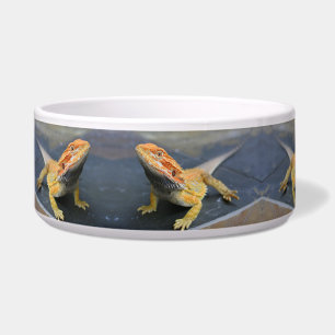 Rainbow Tiger Bartagame Keramik Pfeffer Napf