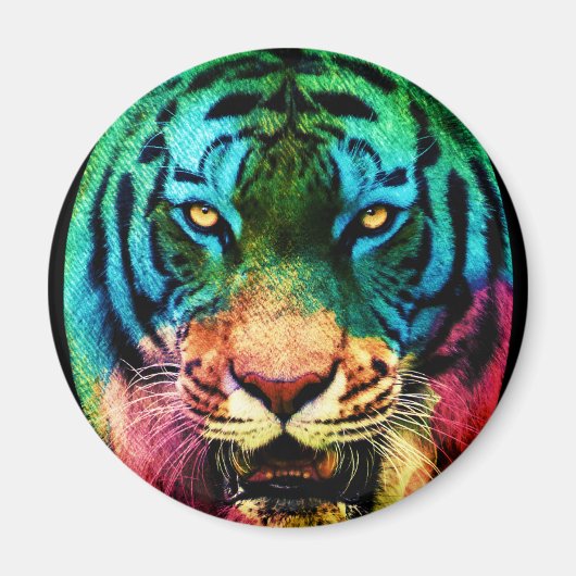 Rainbow Tiger Magnet (Vorne)