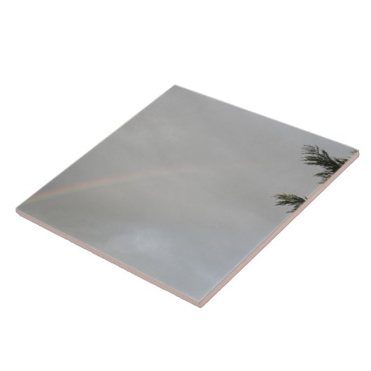 Rainbow Tile Fliese (Seite)