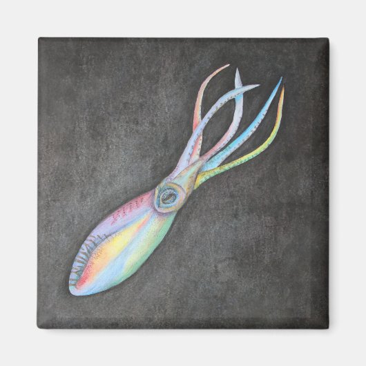 Rainbow Tintenfisch Magnet (Vorne)