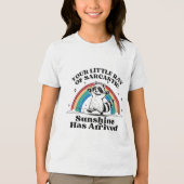 Rainbow Tri-Blend Shirt (Vorderseite)