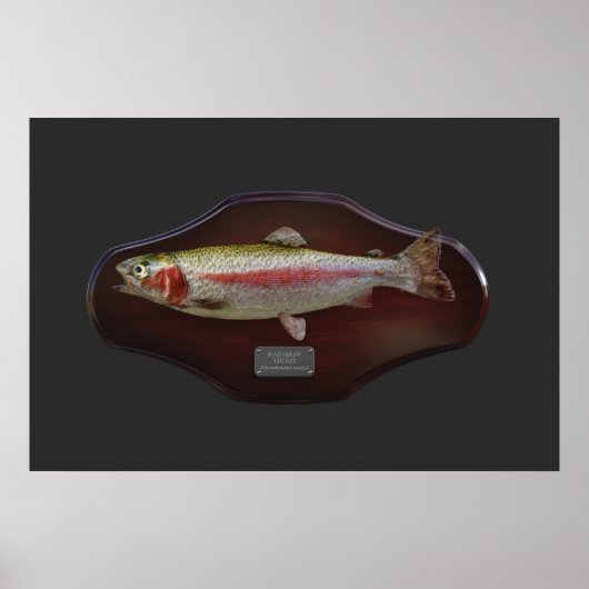 Rainbow Trout Display Plaque Poster (Vorne)