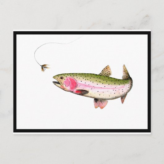 Rainbow Trout Fly Fishing Postkarte (Vorderseite)
