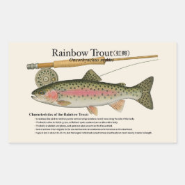 Rainbow Trout (Oncorhynchus mykiss) – English Rect Rechteckiger Aufkleber
