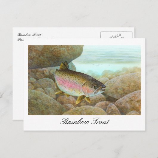 Rainbow Trout Painting Postcard Postkarte (Vorne/Hinten)