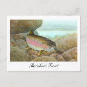 Rainbow Trout Painting Postcard Postkarte (Vorderseite)