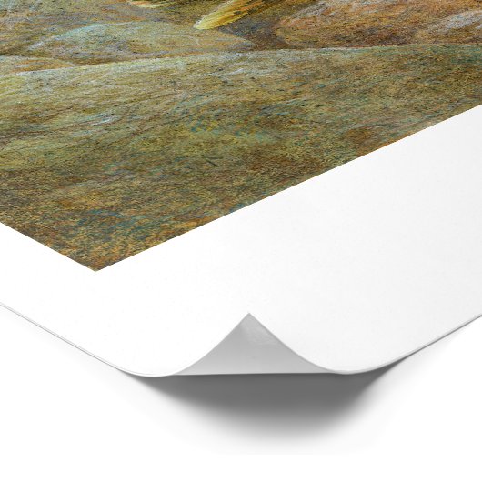 Rainbow Trout Painting Poster (Ecke)