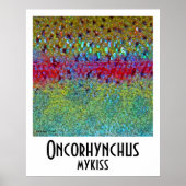 Rainbow Trout Poster (Vorne)