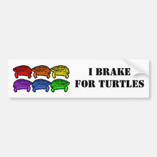 Rainbow Turtles Autoaufkleber