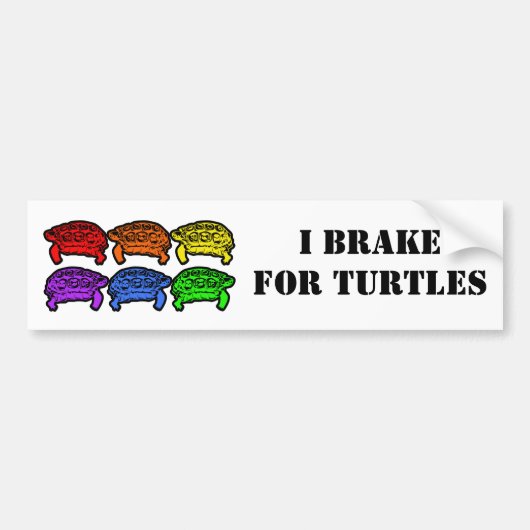 Rainbow Turtles Autoaufkleber (Vorne)