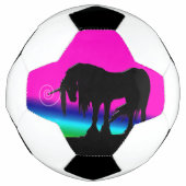 Rainbow Unicorn Fußball (Vorderseite)