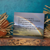 RAINBOW VERSES FOTOPLATTE (Seite)