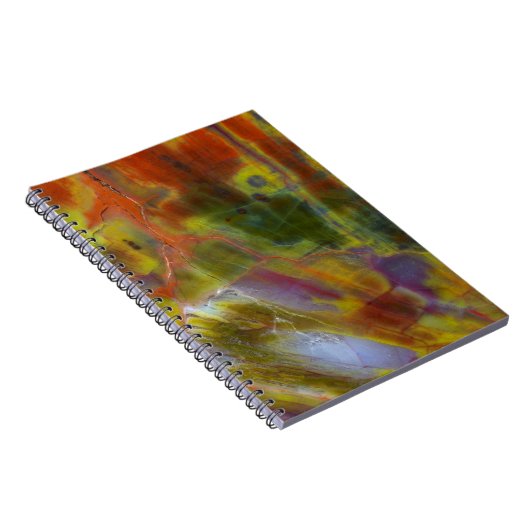 Rainbow-versteinertes Holz Notizblock (Rechte Seite)