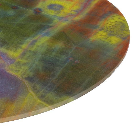 Rainbow-versteinertes Holz Schneidebrett (Ecke)