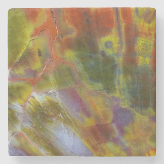 Rainbow-versteinertes Holz Steinuntersetzer (Vorderseite)