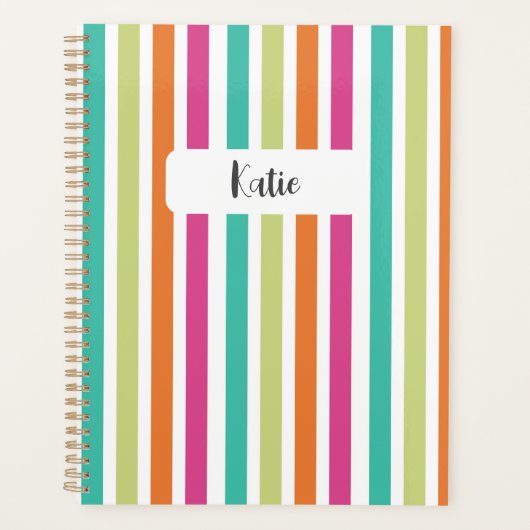 Rainbow-vertikale Streifen farbenfroh Retro-Multic Planer (Vorderseite)