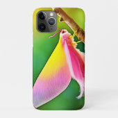 Rainbow Wing Beauty Case-Mate iPhone Hülle (Rückseite)