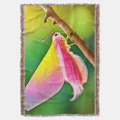 Rainbow Wing Beauty Decke (Vorderseite Vertikal)