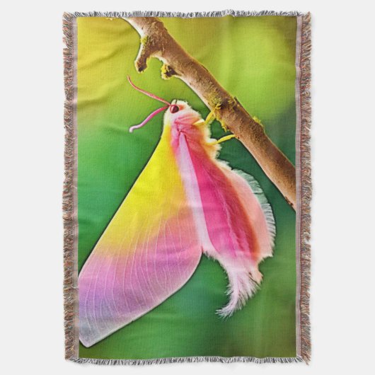 Rainbow Wing Beauty Decke (Vorderseite Vertikal)