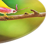 Rainbow Wing Beauty Schneidebrett (Ecke)