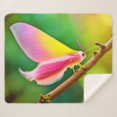 Rainbow Wing Beauty Sherpadecke (Vorderseite (Horizontal))