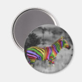Rainbow Zebra Magnet (Vorderseite/Rückseite)