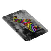Rainbow Zebra Magnet (Rechte Seite)