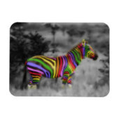 Rainbow Zebra Magnet (Horizontal)