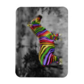 Rainbow Zebra Magnet (Vertikal)