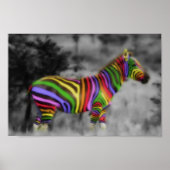 Rainbow Zebra Poster (Vorne)