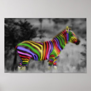 Rainbow Zebra Poster