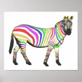 Rainbow Zebra Poster (Vorne)